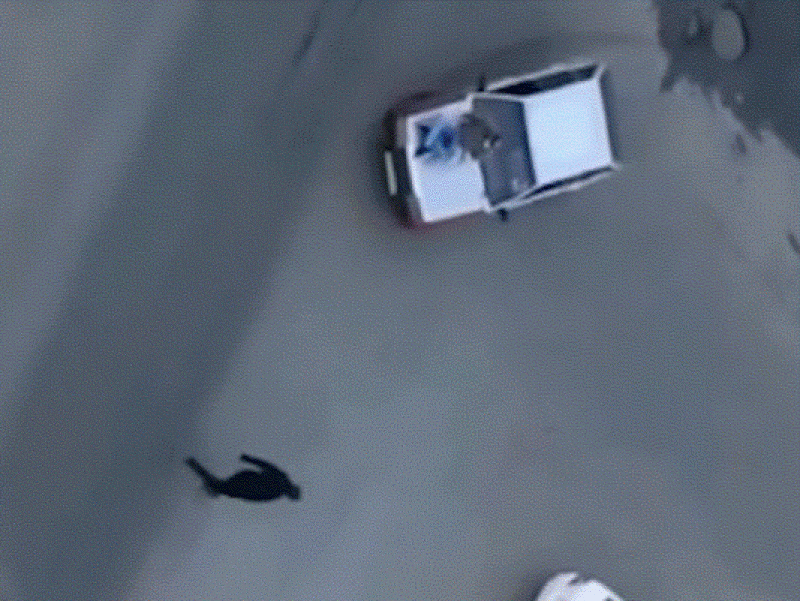 «Мы просто развлекались»: волгоградцев наказали видео с «покатушками» на капоте в соцсетях