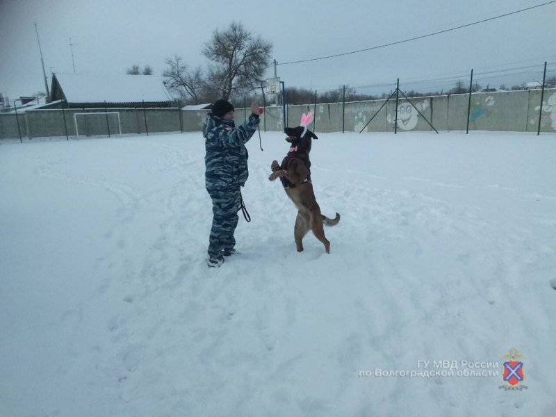 Волгоградские кинологи поздравили с Новым годом детей из школы-интерната Жирновского района