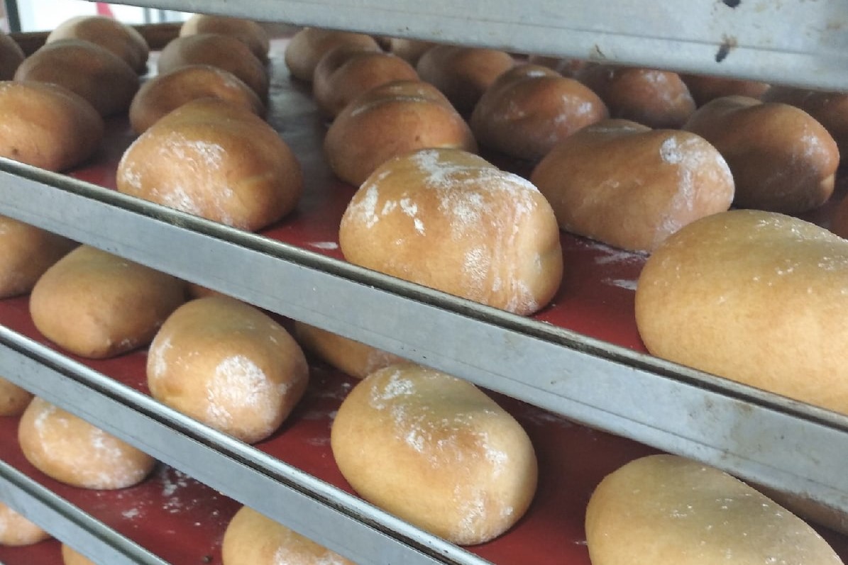 В Волгограде завершилось расследование по заболеванию воспитанников казачьего корпуса 