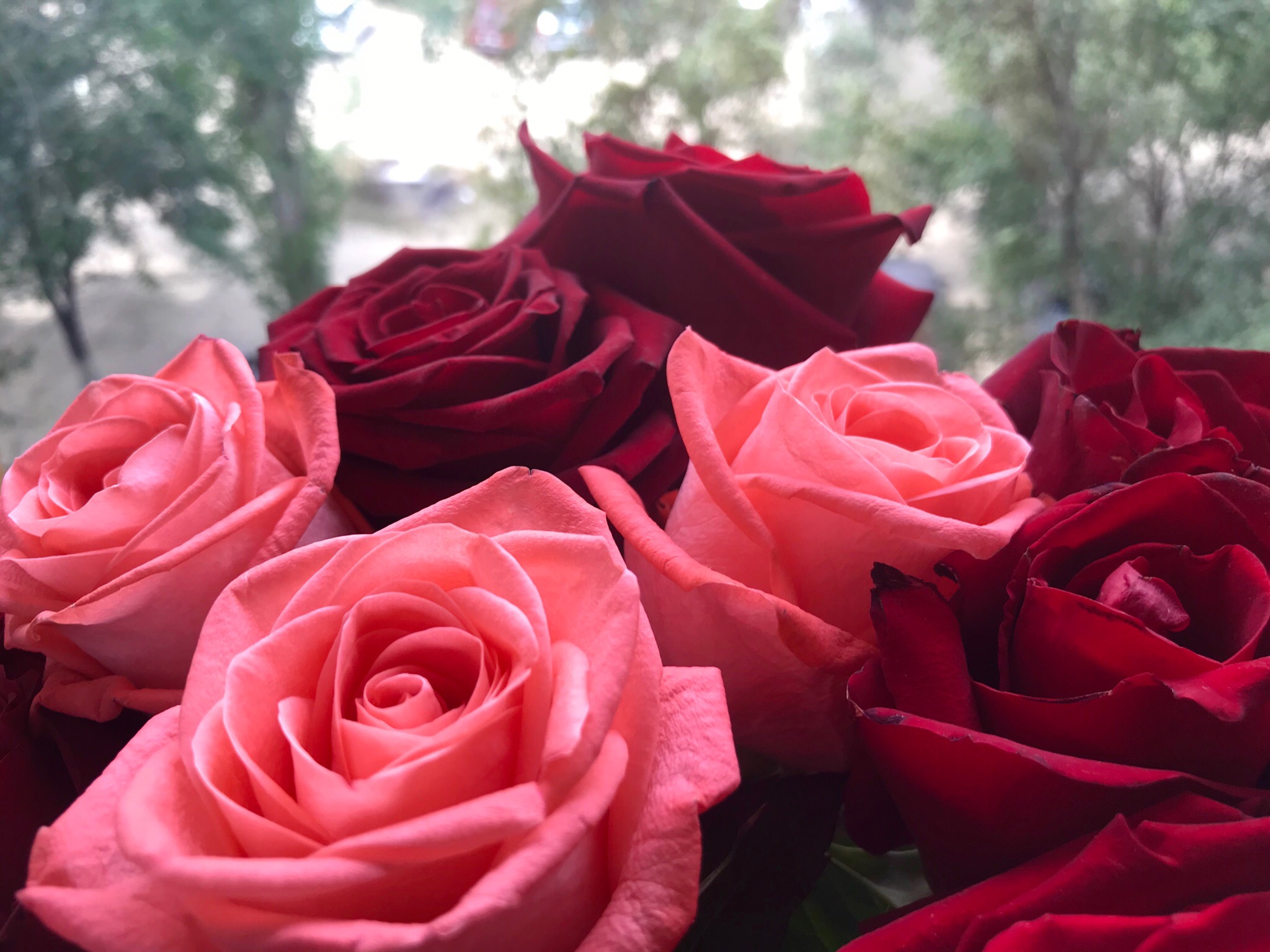 Оперативников Григоряна, Орлова и Дюжакова поблагодарила волгоградка за поимку обидчика ее пожилого отца 