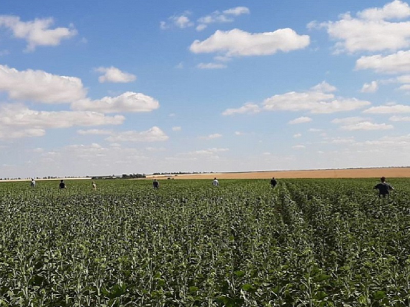 В Волгоградской области задержан убийца 16-летней школьницы 