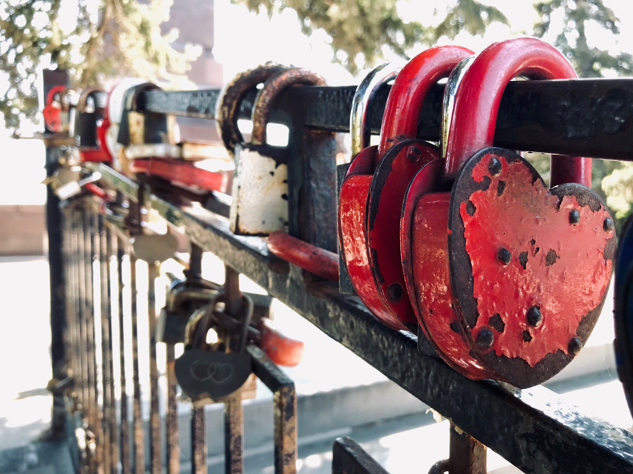 За украденные налоги двое волгоградских бизнесменов получили по полтора года колонии и заплатят 11,4 миллиона