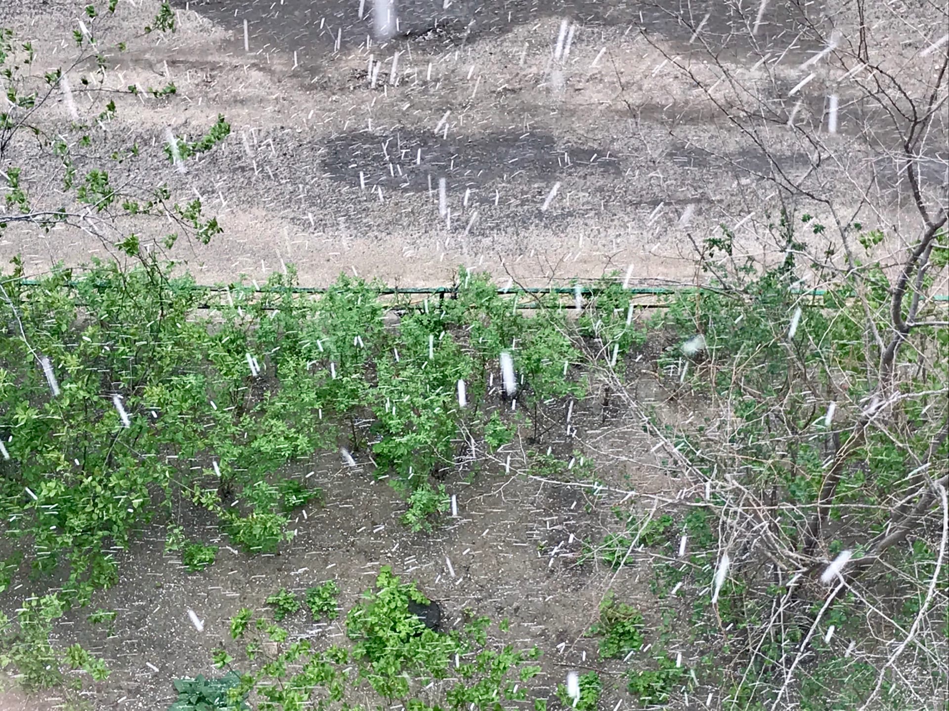 Сильный град сняли на видео в Волгограде 