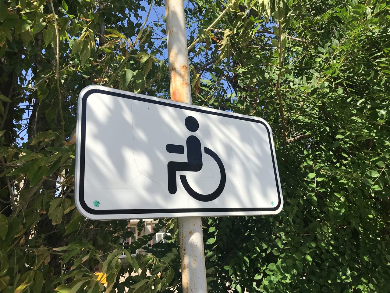 Хайпожор, не заслуживающий доверия: что думают волгоградцы об арестованном активисте Соломонове