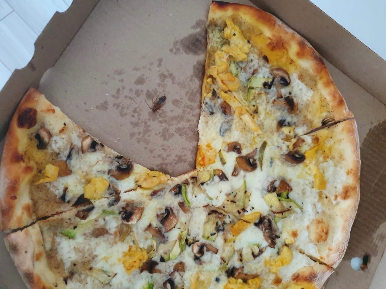 Пиццей с тараканом угостили волгоградку в траттории Rimini