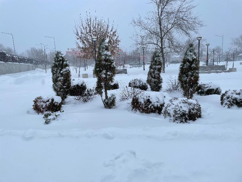В Волгограде замерз аэропорт