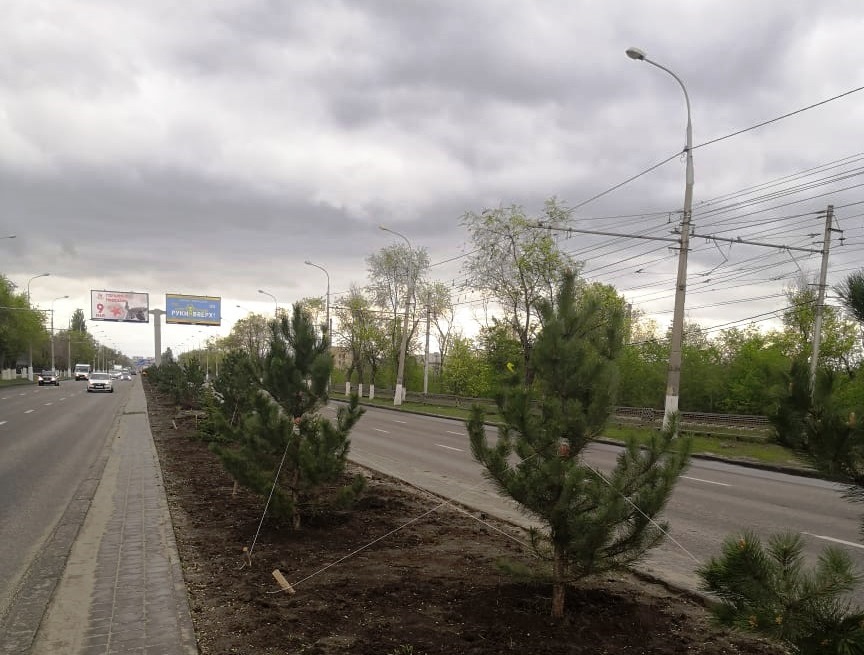 В Волгограде на проспекте Ленина началось благоустройство разделительной полосы