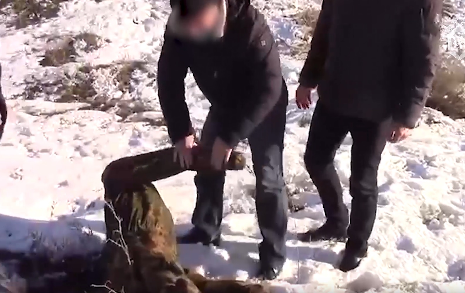 Раскрыто убийство из девяностых в Волгограде: видео