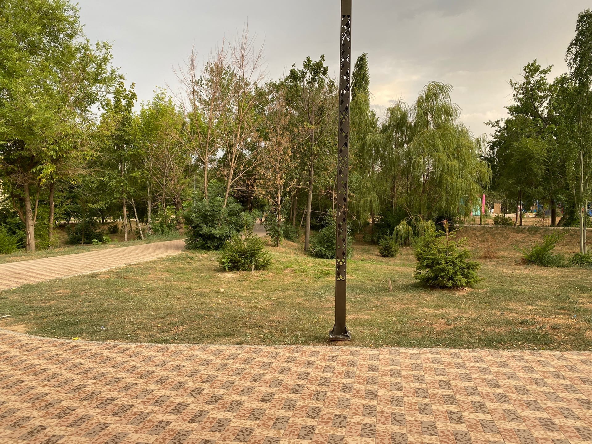 Адская жара покинет Волгоград и придет дождь  