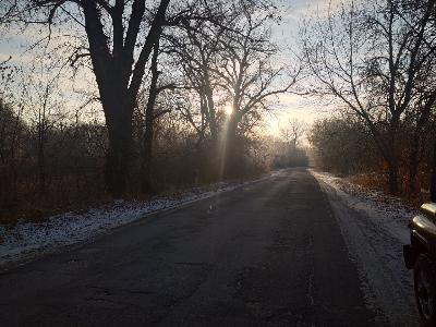 Потепление до 3 градусов тепла придет в Волгоградскую область
