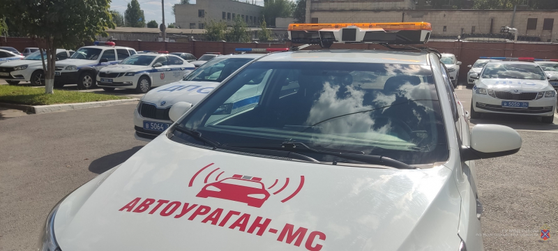 Следить за всеми собирается волгоградская полиция