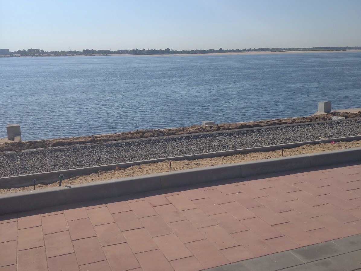 На нижней террасе набережной в Волгограде высаживают живые ели