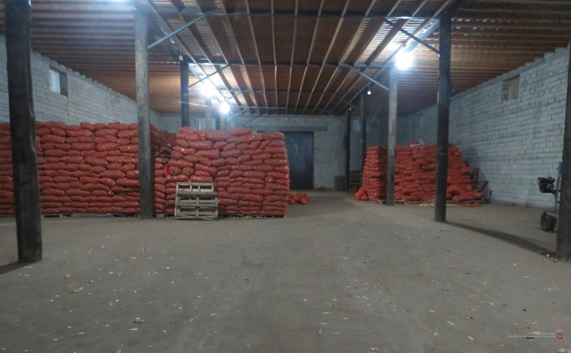 Охранник склада украл семь тонн лука под Волгоградом