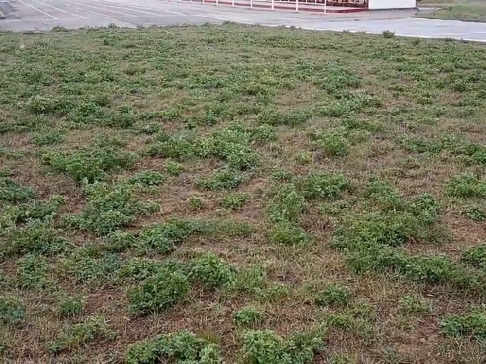 В конце апреля под Волгоградом пошел снег