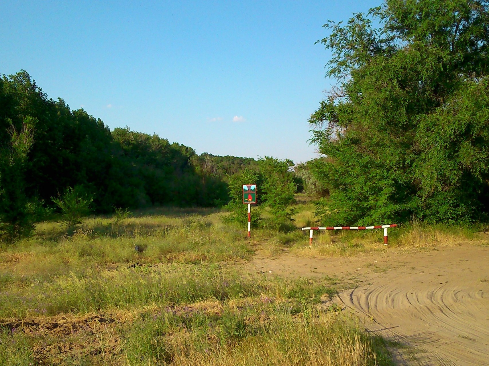 В Волгоградской области продлили запрет на посещение лесов до 8 ноября