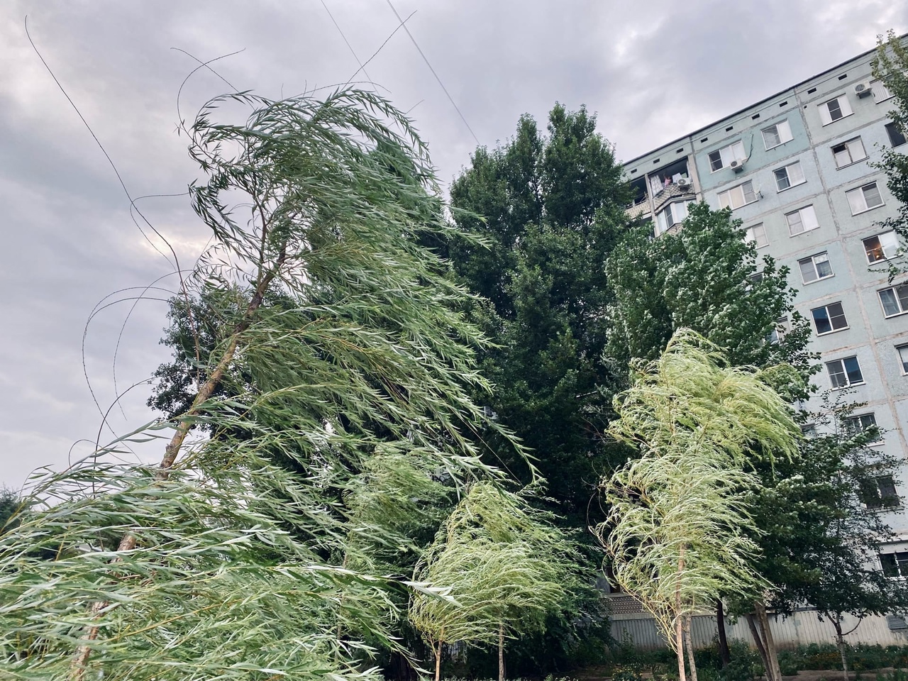 Ливни с градом и шквалистым ветром надвигаются на Волгоградскую область