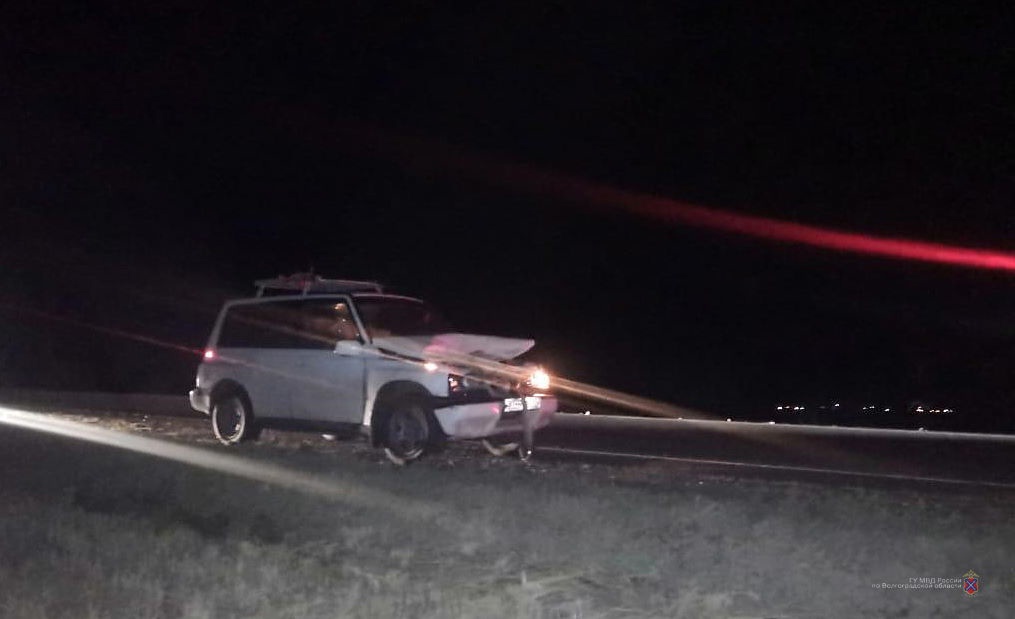 Шестилетний мальчик пострадал из-за дедушки и коровы, не поделивших дорогу под Волгоградом