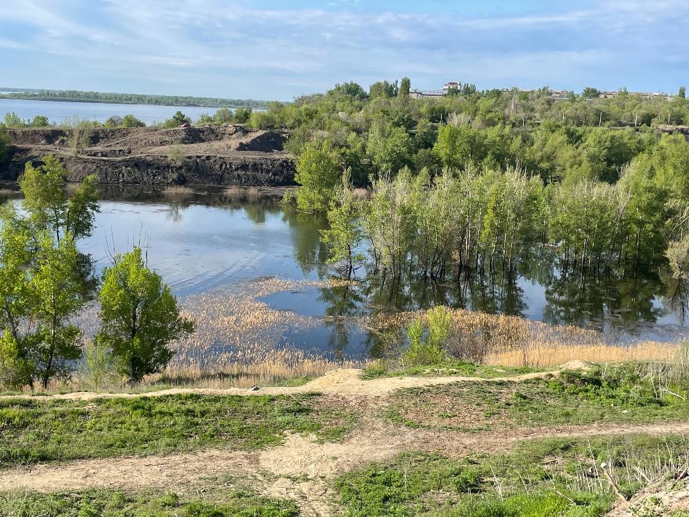 Сельскохозяйственные земли заваливают мусором в Волгоградской области