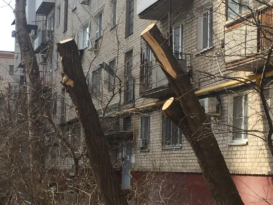 Молодежный фестиваль завершился в Волгограде