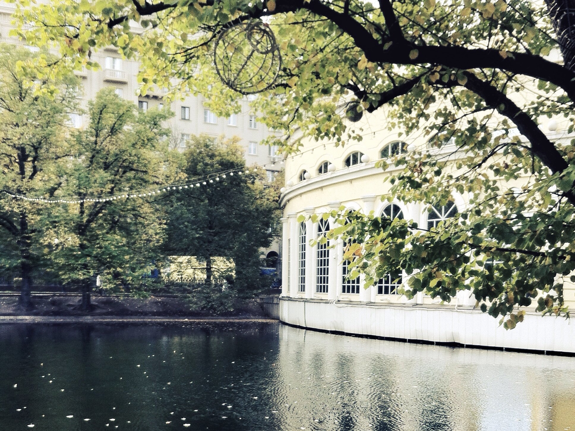 Вскруживший волгоградцу голову осетрами на 11 миллионов москвич едет в колонию на семь лет