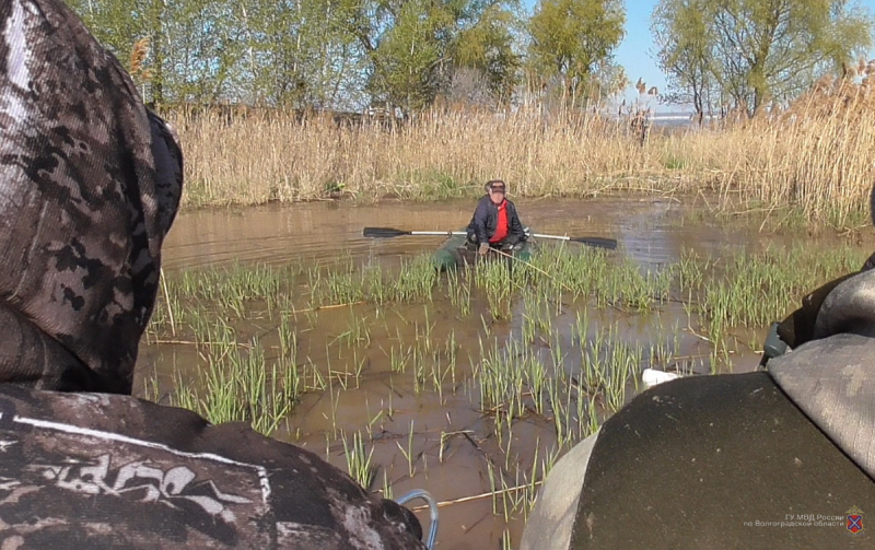 Полицейские улов: в Волгоградской области у браконьеров изъяли 100 кг икры и свыше 100 тонн рыбы