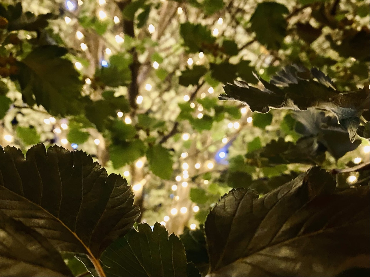 Четыре района Волгограда проведут 24 августа без света