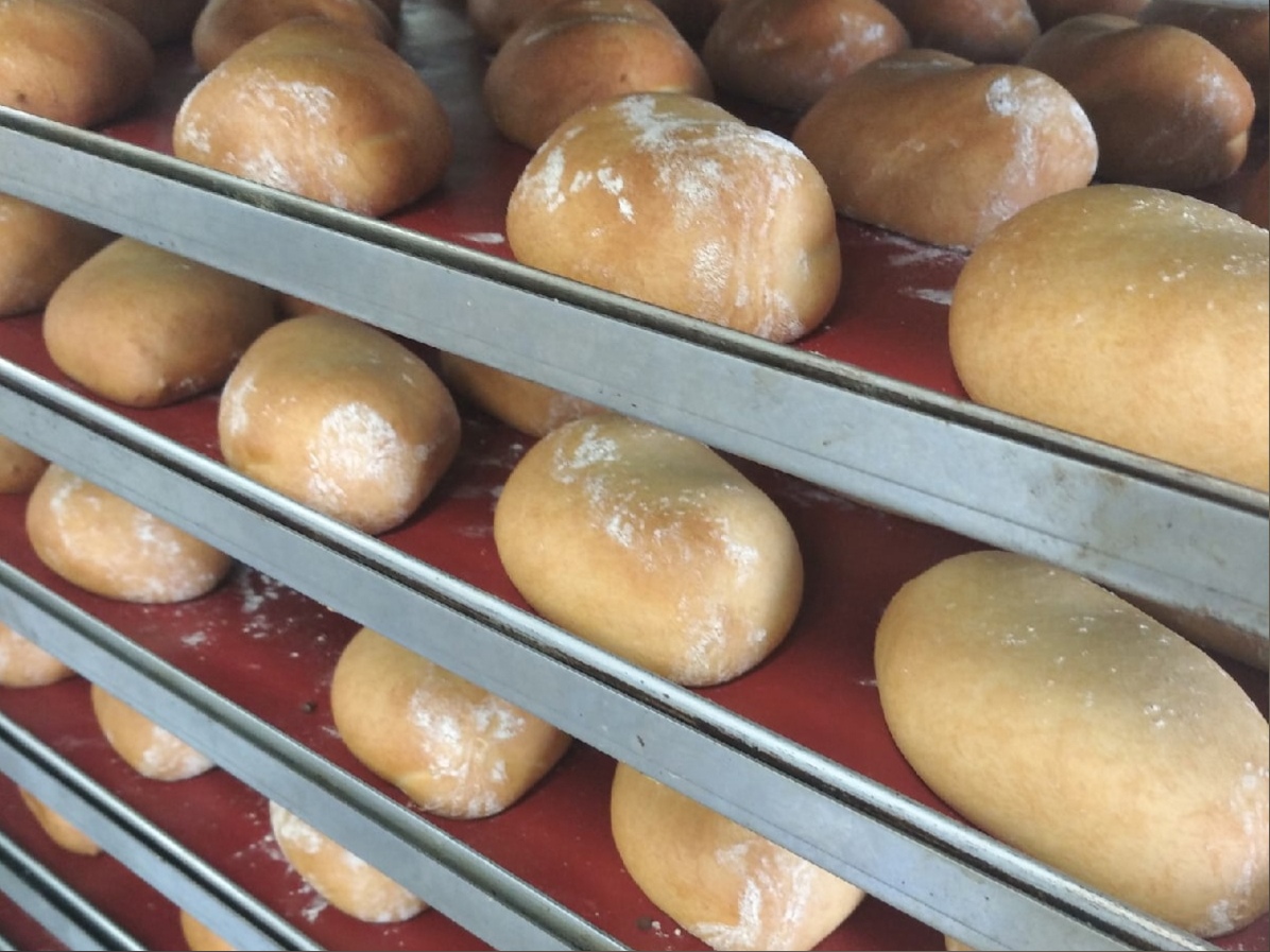 В Волгоградской области 1,3 тысячам пожилых людей привезли домой лекарства и продукты