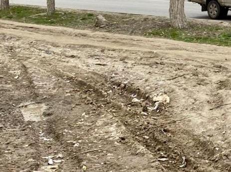 Фекалии поплыли по улице Симонова в Волгограде