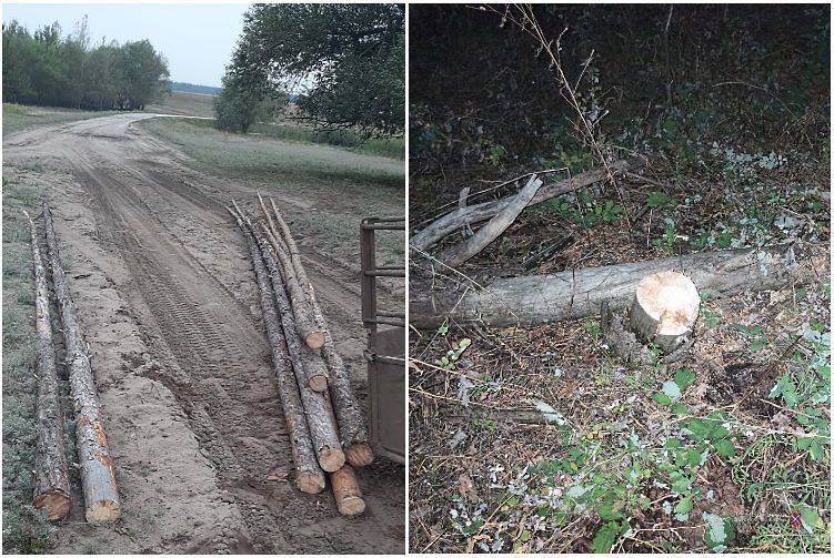 Волгоградец принес природу родного края в жертву своей мелочности 