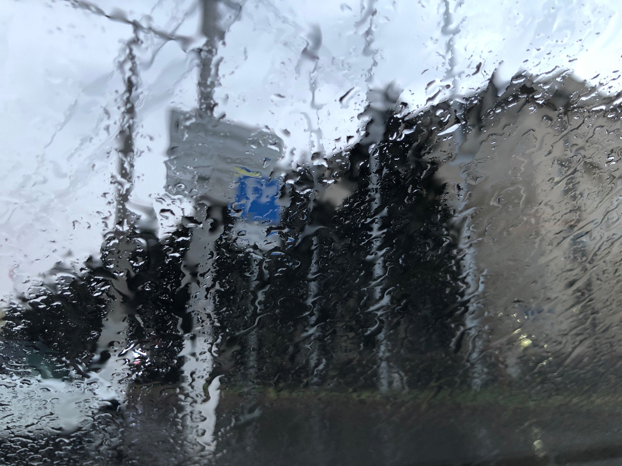 Дождь и похолодание до +21 ожидается в Волгоградской области