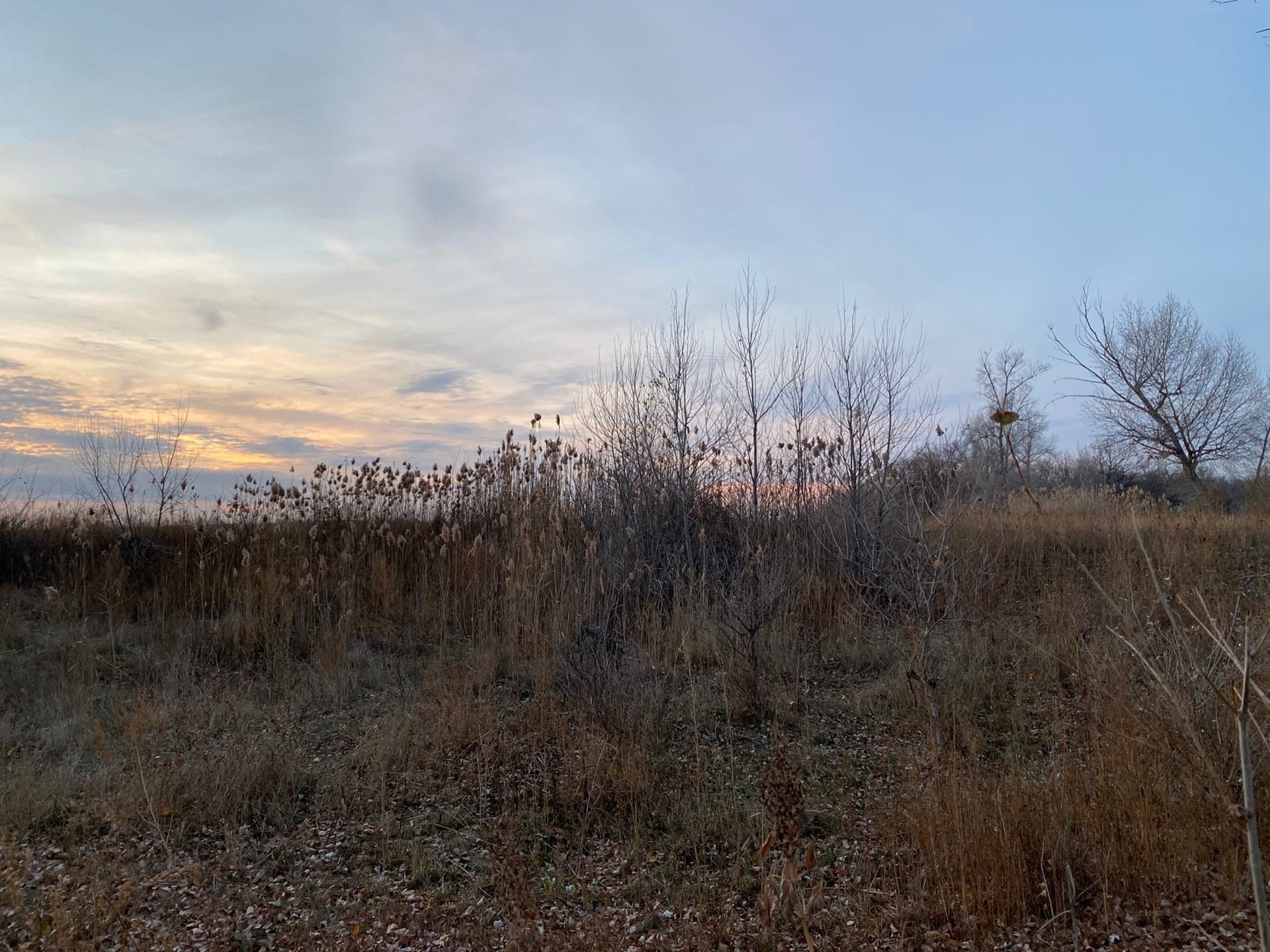 Хорошая погода ждет волгоградцев в День народного единства