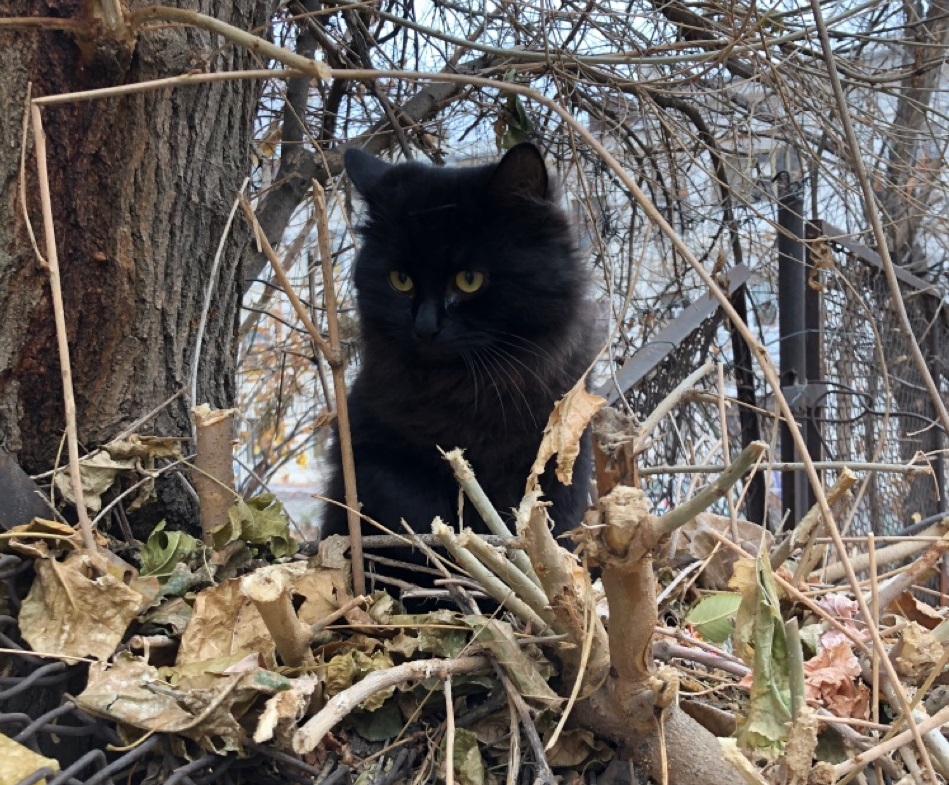 Туман и морось: погода на последний рабочий день недели в Волгограде