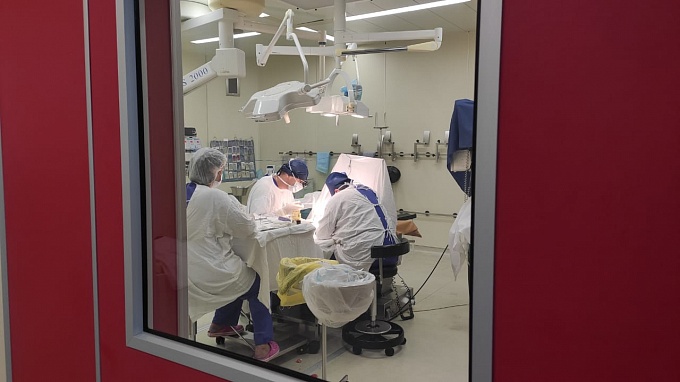 Волгоградские врачи провели уникальную операцию по трансплантации органов 