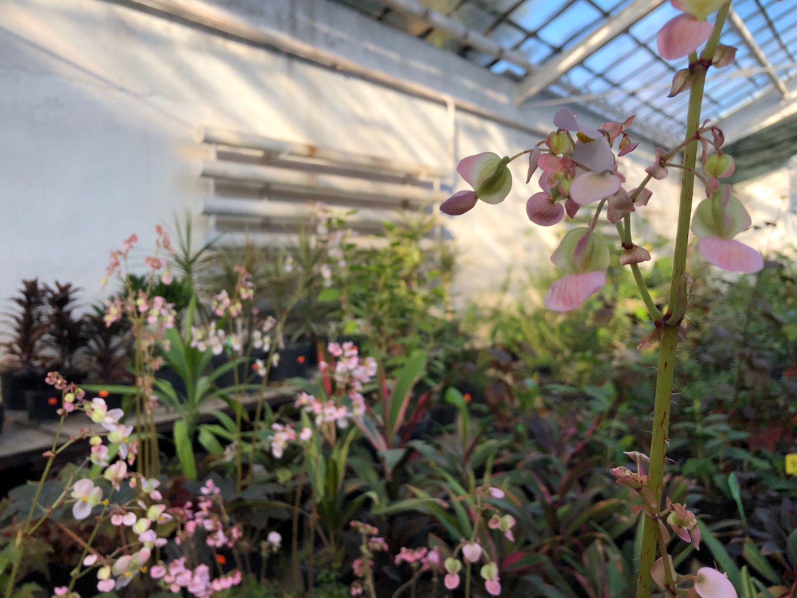 Не работают измерительные приборы, фиксирующие загрязнение воздуха в Волжском