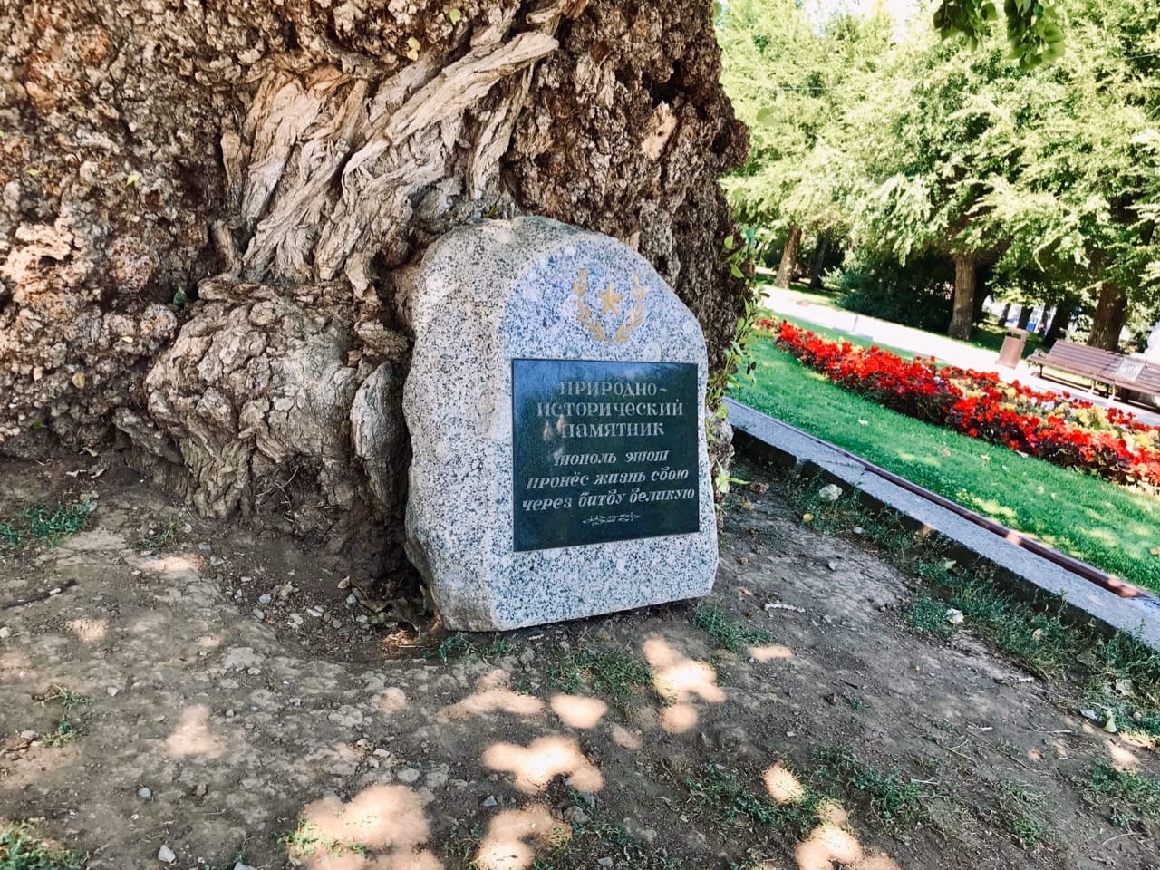 «Просто пост в соцсетях»: волгоградцев зовут присоединиться к простой и трогательной акции к 9 мая