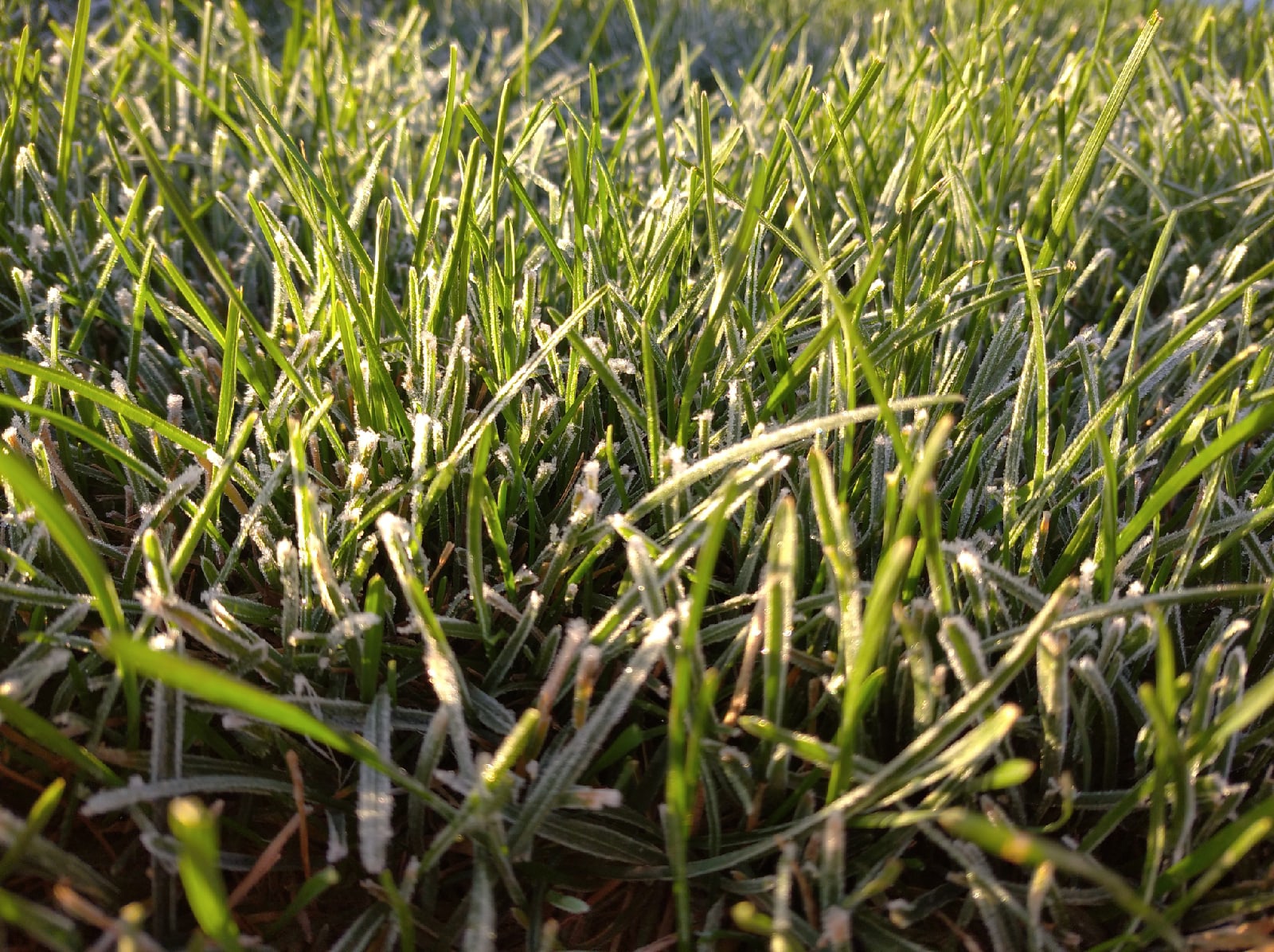 Парк «50 лет Октября» в Волгограде продолжают благоустраивать 