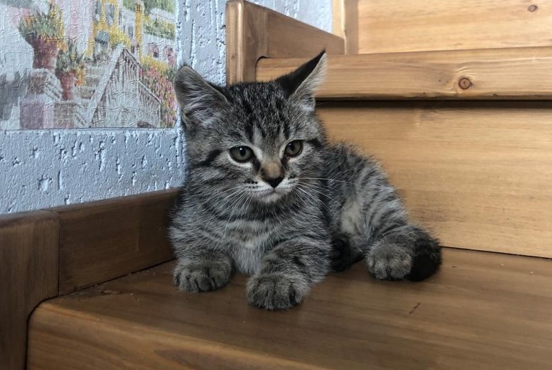 Стало известно, сколько рождается малышей в Волгоградской области