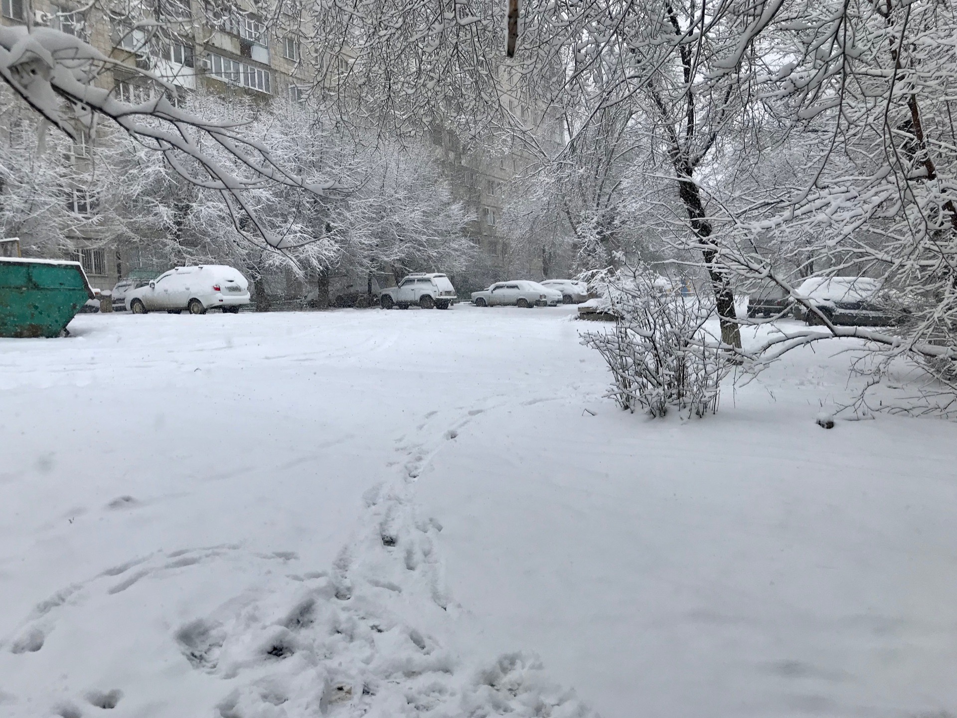 Земля в Арктике и повышение пенсий: какие новые законы стали действовать в Волгоградской области