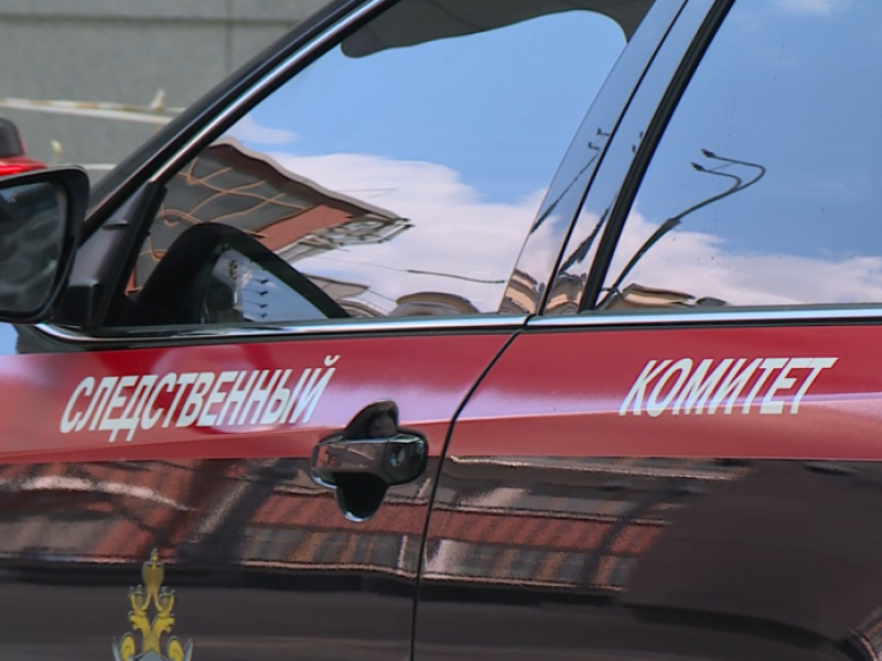 Глава волгоградского СК ответит перед генералом Бастрыкиным за скандал со строительством трассы в Волго-Ахтубинской пойме