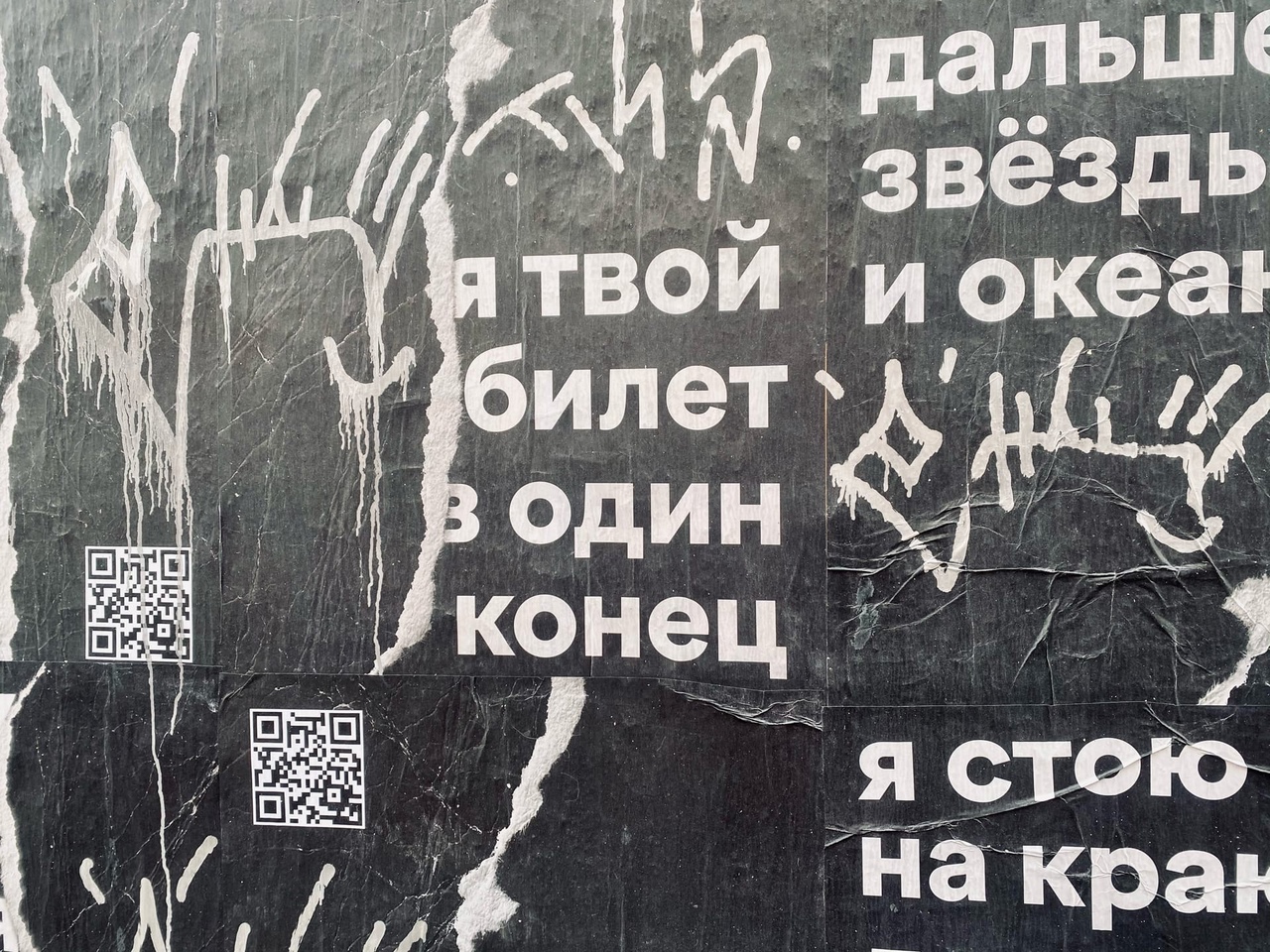Волгоградец с арбалетом лишил соседскую корову вымени