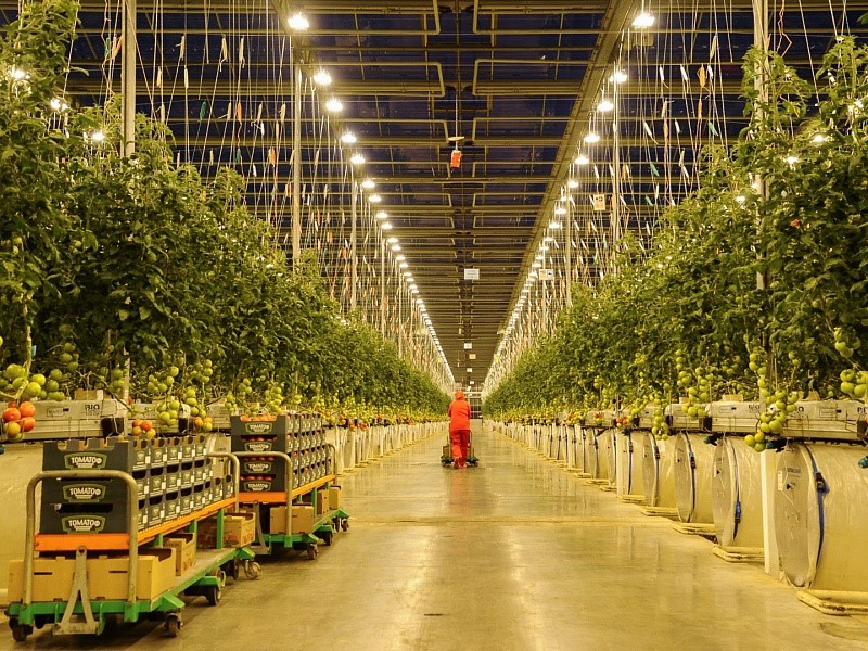 Трудности страхования: СОГАЗ два года не платит волгоградскому сельхозпроизводителю за пожар