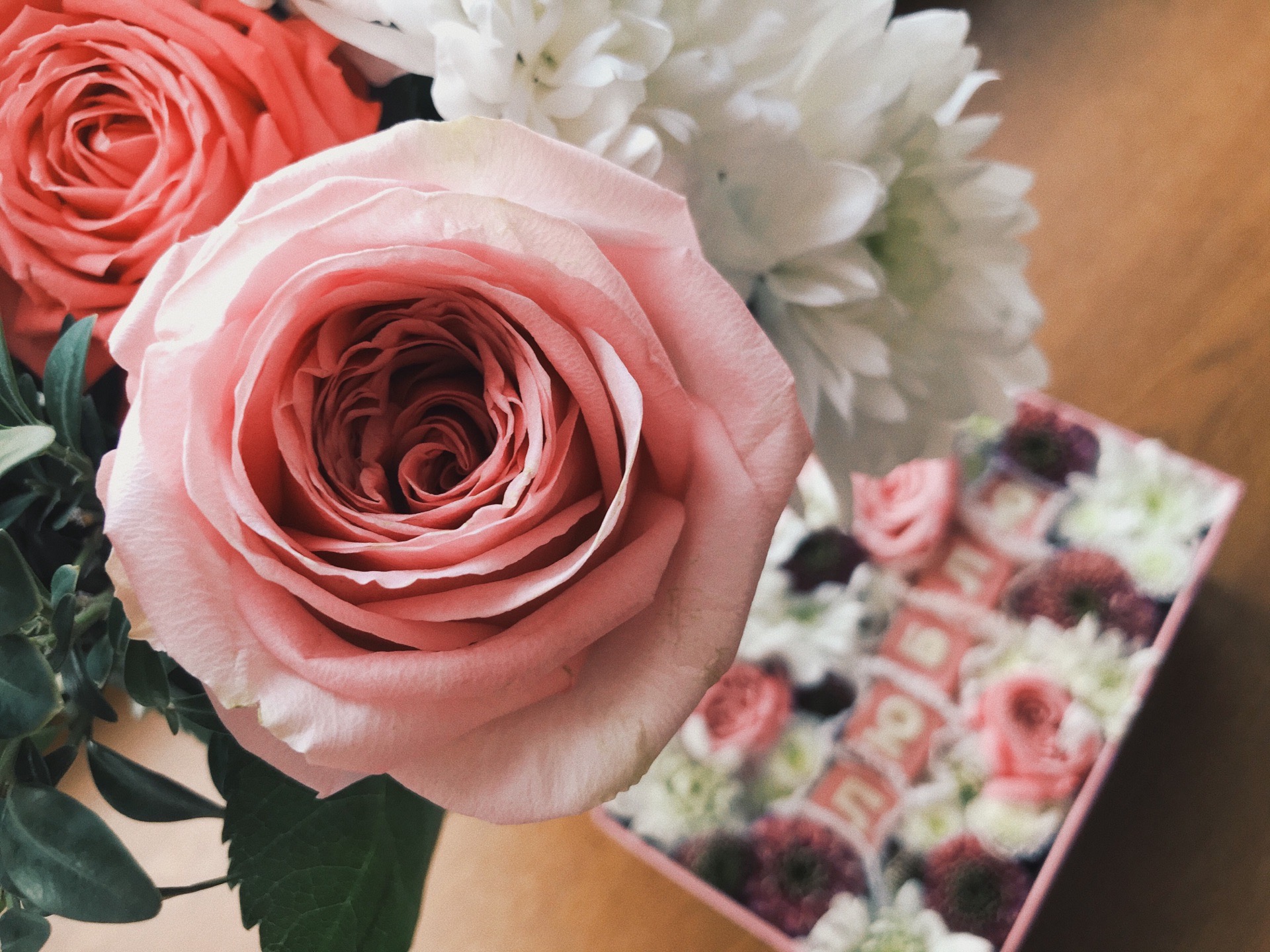 Институт семьи в Волгоградской области ушел в минус: разводятся больше, чем женятся