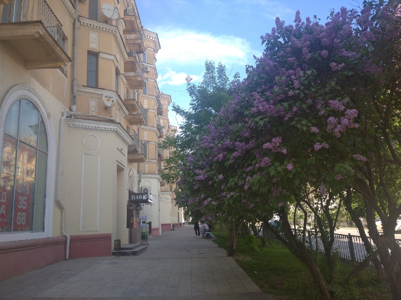 В Волгоградской области пройдет восьмой кинофестиваль «Сталинградская сирень»