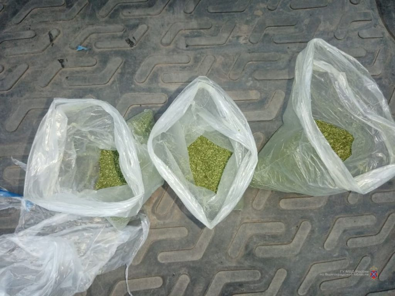 10 лет лишения свободы ждет волгоградца хранившего у себя дома оружие и наркотики 