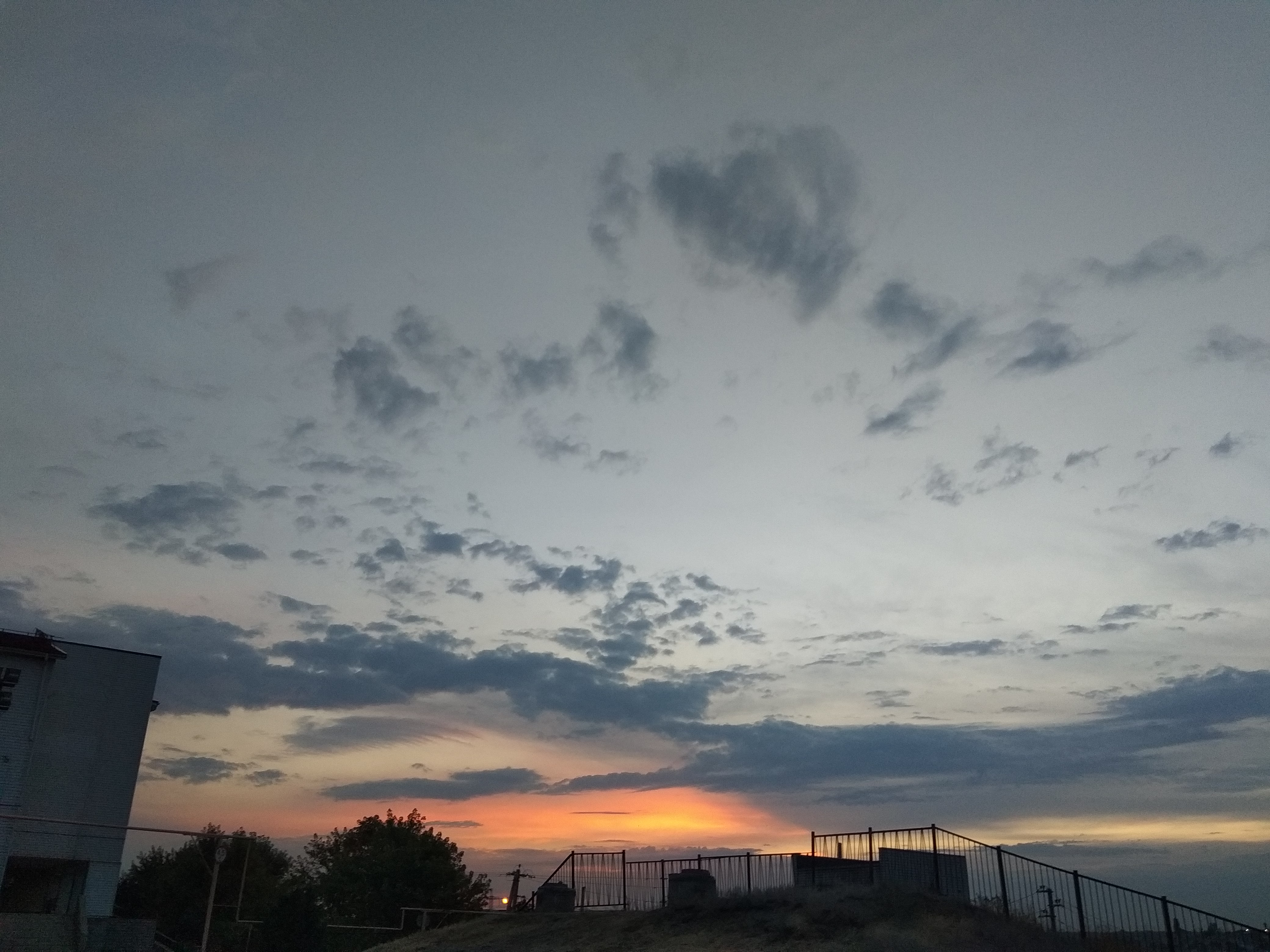 Волгоградцев предупредили об опасности распространения смертельной инфекции в регионе