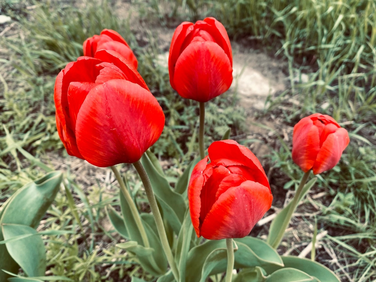 Теплые и солнечные выходные обещают волгоградцам синоптики
