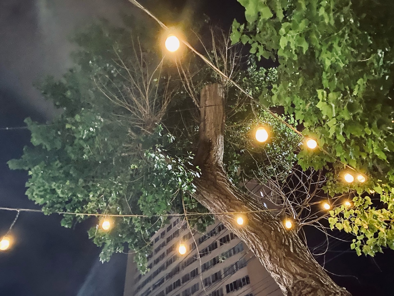 Четыре района Волгограда остались без света 30 августа