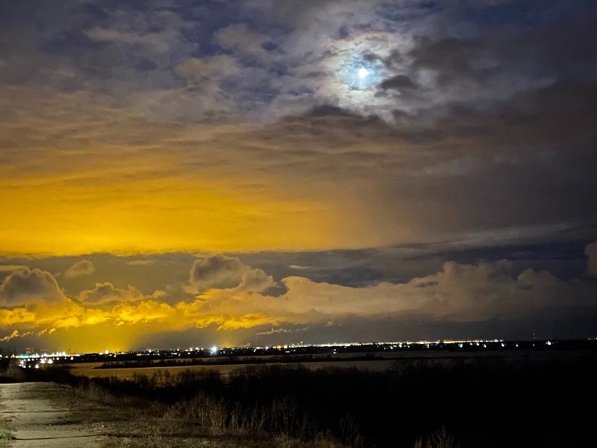 Мэрия Волгограда передает миллионы бюджетных рублей сомнительной компании из Краснодара