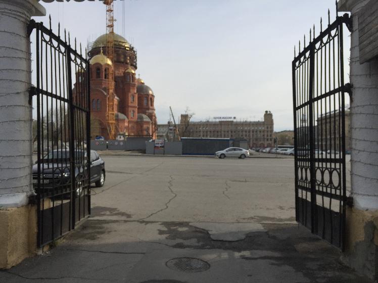 Десять самолётов будут бороться с саранчой в  Волгоградской области