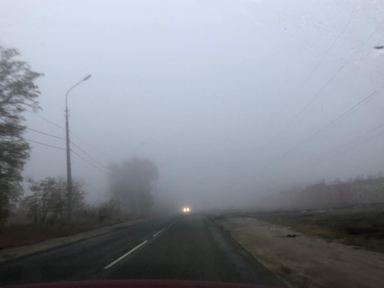 Замгубернатора пообещала не вводить электронные пропуска в Волгоградской области в ближайшие дни